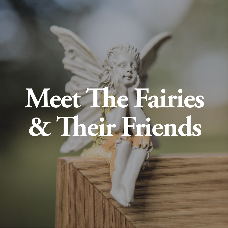 The Wood Fairies and the Spring Festival of Life